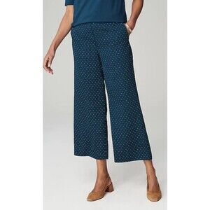J.Jill Easy Care Blue Polka Dot Comfort Pull On Pants Size XL Petite